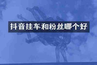 抖音挂车和粉丝哪个好