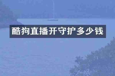 酷狗直播开守护多少钱