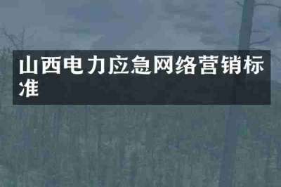 山西电力应急网络营销标准