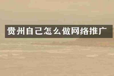 贵州自己怎么做网络推广