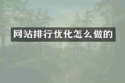 网站排行优化怎么做的