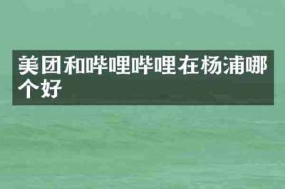 美团和哔哩哔哩在杨浦哪个好