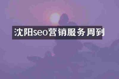 沈阳seo营销服务周到