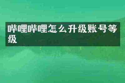 哔哩哔哩怎么升级账号等级