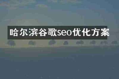 哈尔滨谷歌seo优化方案