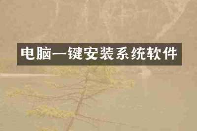 电脑一键安装系统软件