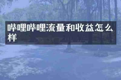 哔哩哔哩流量和收益怎么样