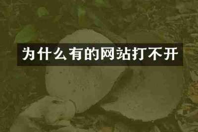 为什么有的网站打不开