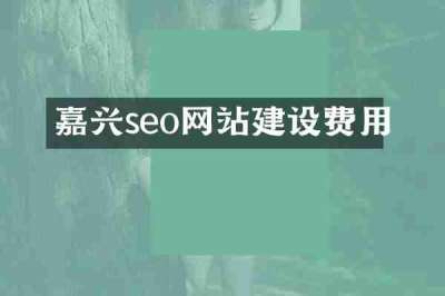 嘉兴seo网站建设费用