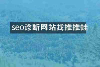 seo诊断网站找推推蛙