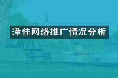 泽佳网络推广情况分析