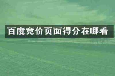 百度竞价页面得分在哪看