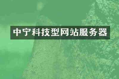 中宁科技型网站服务器