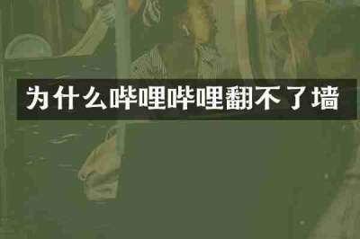 为什么哔哩哔哩翻不了墙