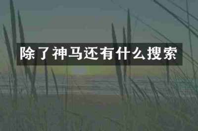 除了神马还有什么搜索