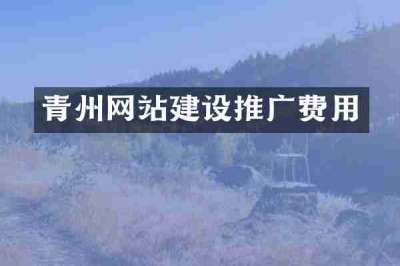 青州网站建设推广费用