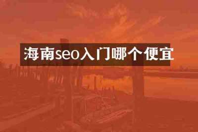 海南seo入门哪个便宜