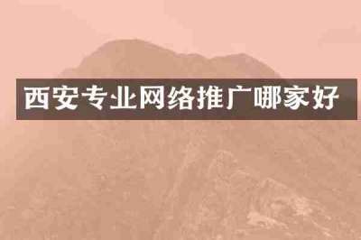 西安专业网络推广哪家好