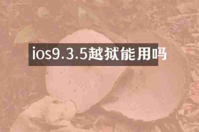ios9.3.5越狱能用吗