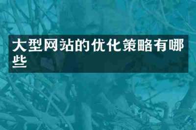 大型网站的优化策略有哪些