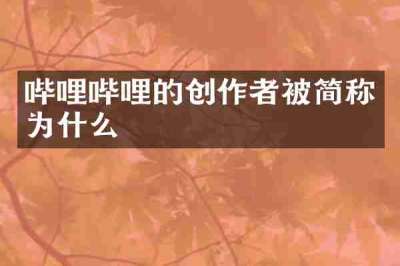 哔哩哔哩的创作者被简称为什么