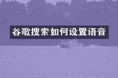 谷歌搜索如何设置语音