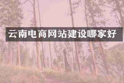 云南电商网站建设哪家好
