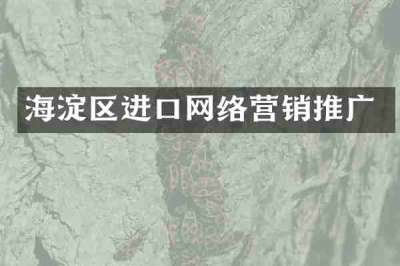 海淀区进口网络营销推广
