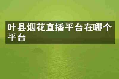 叶县烟花直播平台在哪个平台