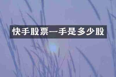 快手股票一手是多少股