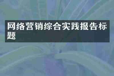 网络营销综合实践报告标题