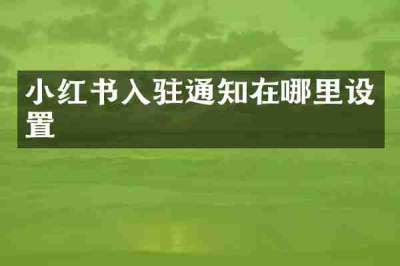 小红书入驻通知在哪里设置