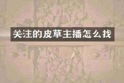 关注的皮草主播怎么找