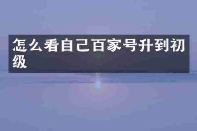 怎么看自己百家号升到初级