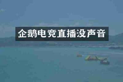 企鹅电竞直播没声音