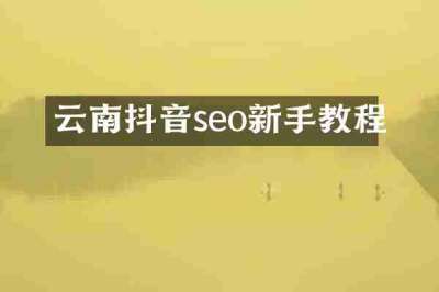 云南抖音seo新手教程