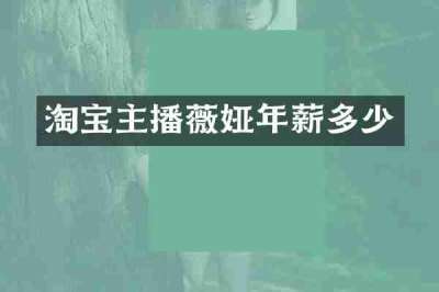 淘宝主播薇娅年薪多少