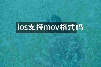 ios支持mov格式吗
