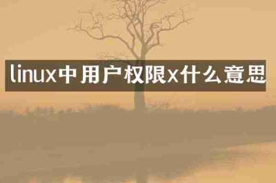 linux中用户权限x什么意思