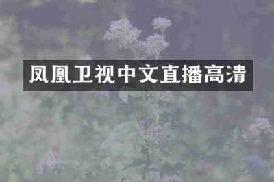 凤凰卫视中文直播高清