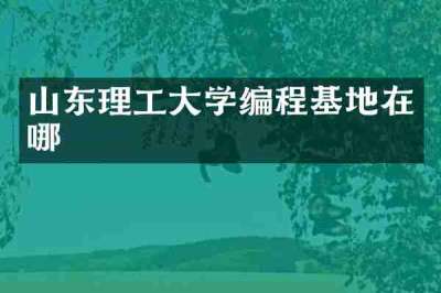 山东理工大学编程基地在哪