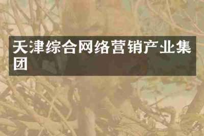 天津综合网络营销产业集团
