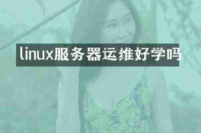 linux服务器运维好学吗
