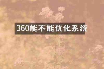 360能不能优化系统