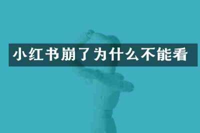 小红书崩了为什么不能看