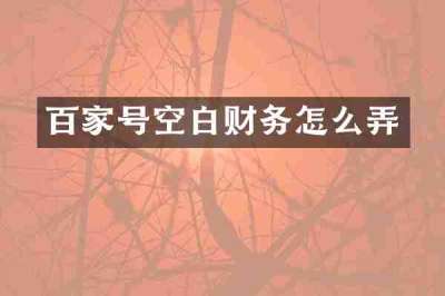 百家号空白财务怎么弄