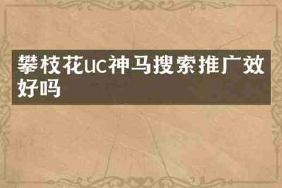 攀枝花uc神马搜索推广效果好吗