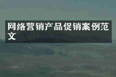 网络营销产品促销案例范文