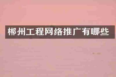 郴州工程网络推广有哪些