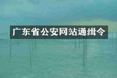 广东省公安网站通缉令